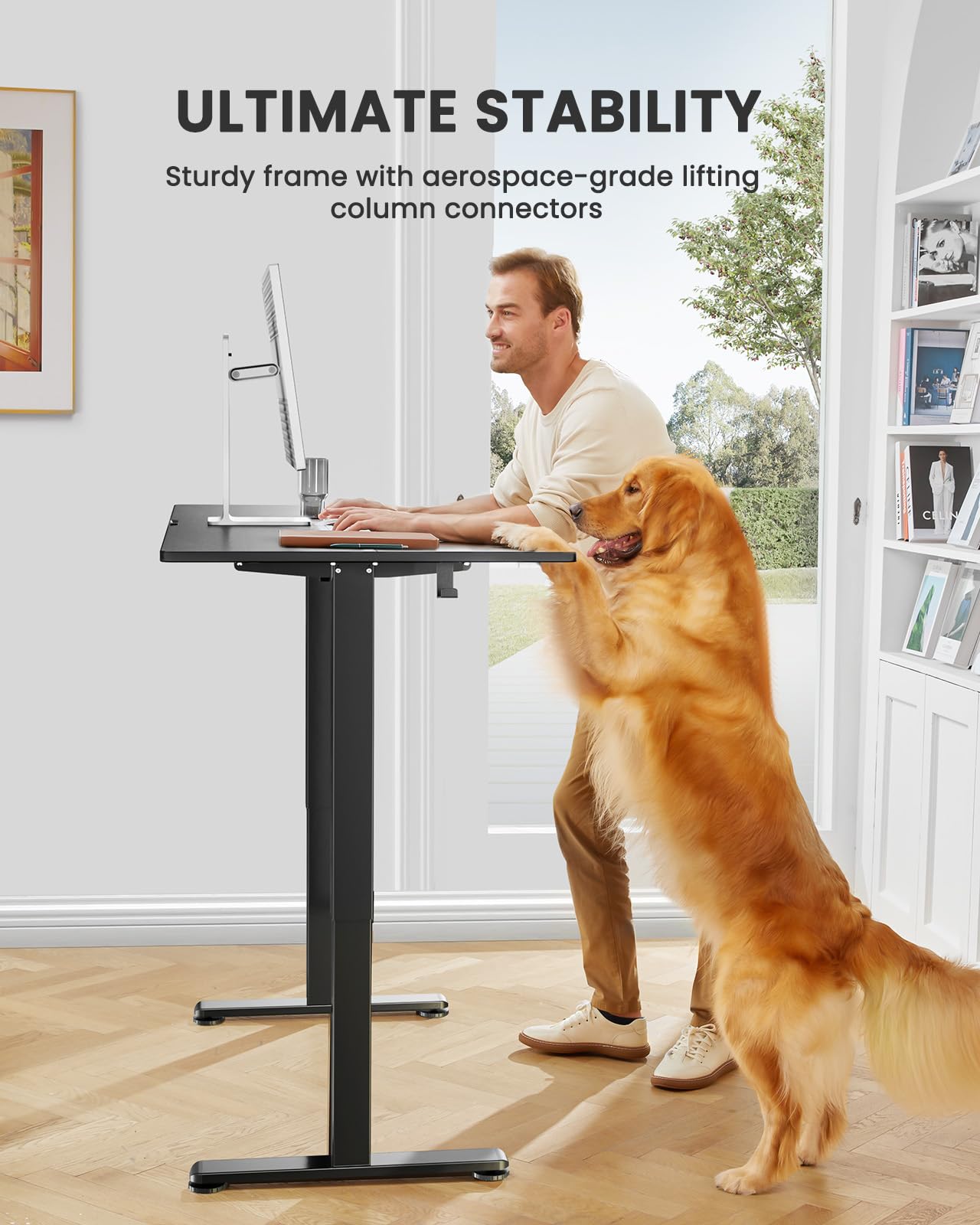 ErGear Height Adjustable Electric Standing Desk/48x24 Inches Sit Stand up Desk/Memory Computer Desk