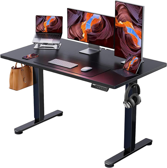 ErGear Height Adjustable Electric Standing Desk/48x24 Inches Sit Stand up Desk/Memory Computer Desk